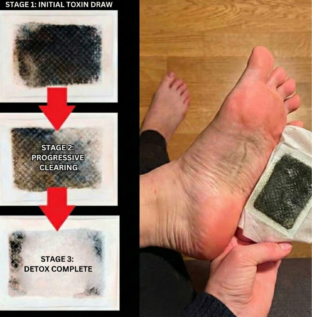 Amolae™ Detox Patches | Restore Balance & Wellness